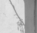 Anders sehen, Jan Madeus