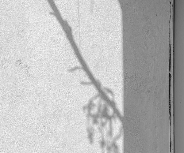 Anders sehen, Jan Madeus