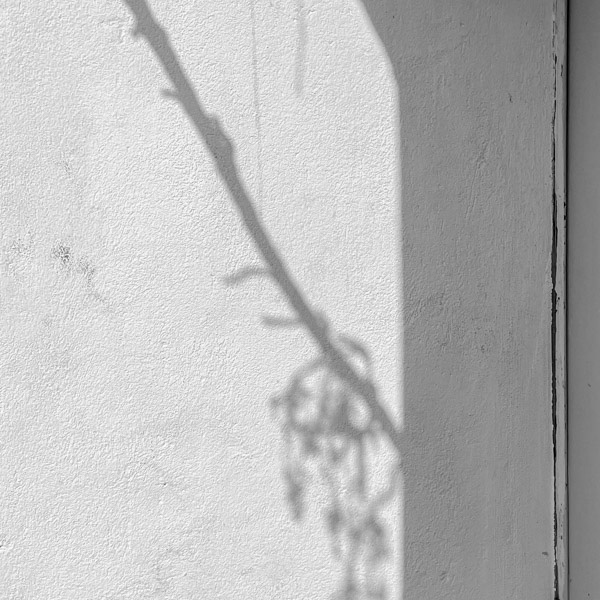 Anders sehen, Jan Madeus